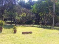 6-bedroom-house-for-sale-in-kabulonga-small-8