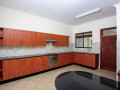 beautiful-furnished-2-and-3-bedroom-apartments-in-kabulonga-small-2