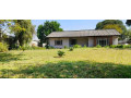 3-bedroom-and-2-bedroom-flats-for-sale-in-olympia-small-7