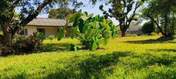 3-bedroom-house-for-sale-in-olympia-big-3