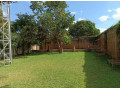2-bedroom-house-for-rent-in-makeni-small-7