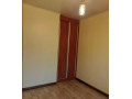 2-bedroom-flat-for-rent-in-nyumba-yanga-small-3