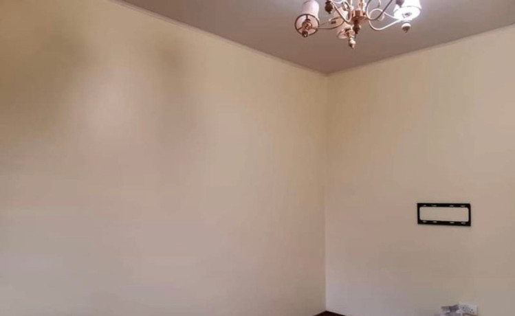 2-bedroom-flat-for-rent-in-nyumba-yanga-big-4