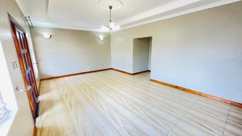 2-bedroom-flat-for-rent-in-nyumba-yanga-big-8