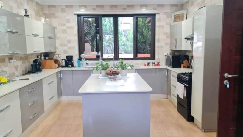 4-bedroom-house-for-rent-in-roma-big-5