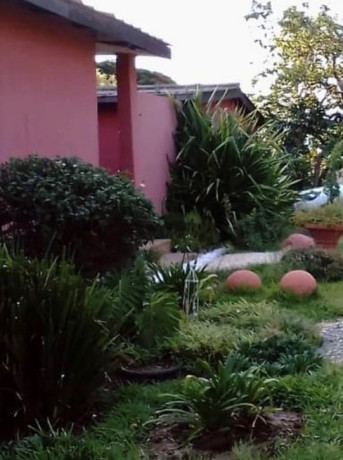 bedsitter-for-rent-in-roma-big-0