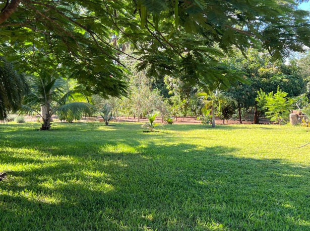 farm-house-for-sale-in-kafue-big-0