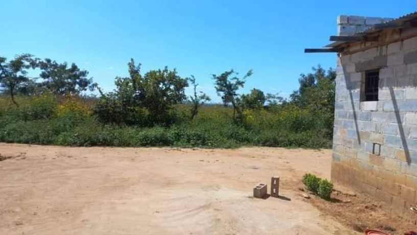 3-acres-traditional-farm-land-for-sale-in-leopards-hill-big-1