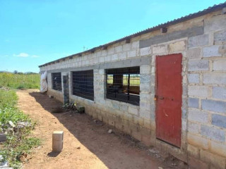 3-acres-traditional-farm-land-for-sale-in-leopards-hill