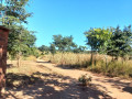 10-hectare-farm-for-sale-in-chongwe-small-2