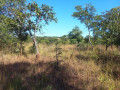 10-hectare-farm-for-sale-in-chongwe-small-3