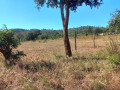 10-hectare-farm-for-sale-in-chongwe-small-4