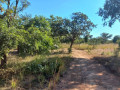 10-hectare-farm-for-sale-in-chongwe-small-1