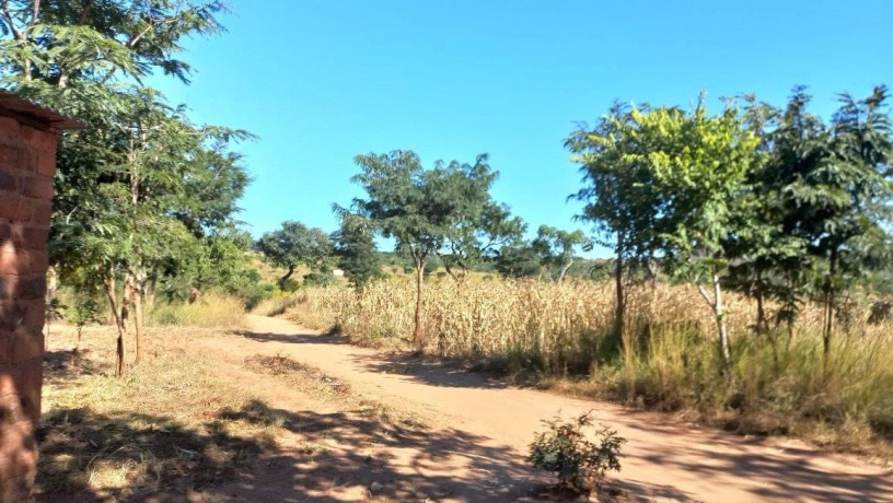 10-hectare-farm-for-sale-in-chongwe-big-2