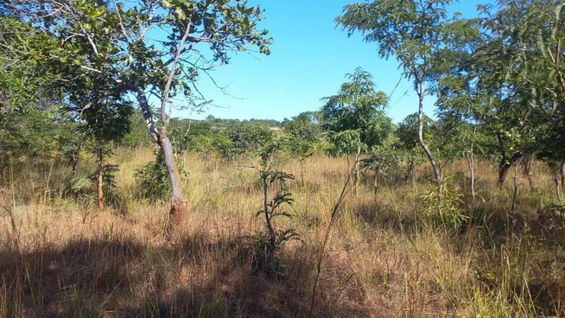 10-hectare-farm-for-sale-in-chongwe-big-3