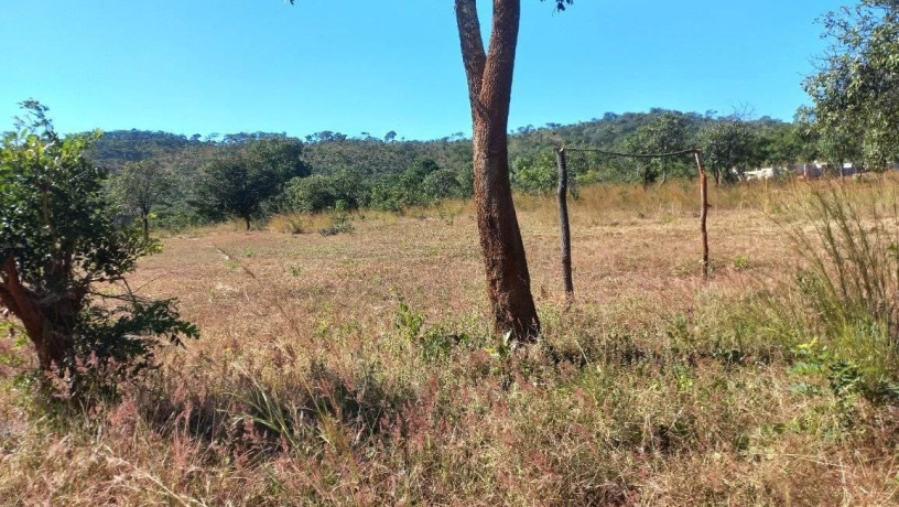 10-hectare-farm-for-sale-in-chongwe-big-4