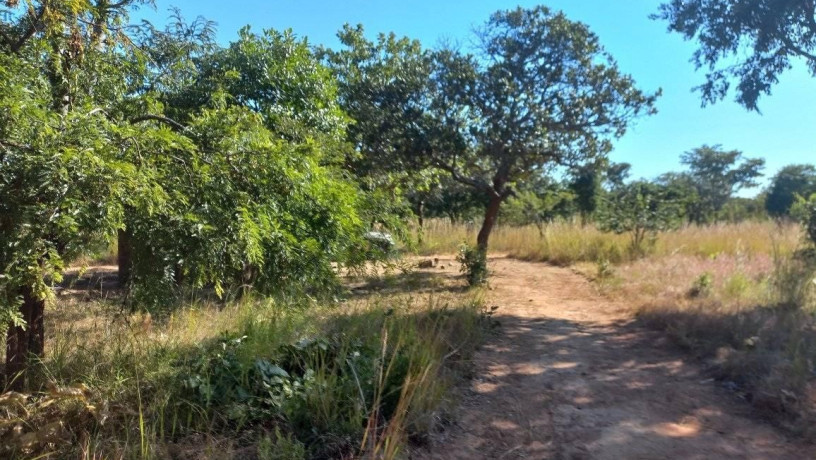 10-hectare-farm-for-sale-in-chongwe-big-1