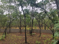 1-acre-land-for-sale-in-new-kasama-small-1