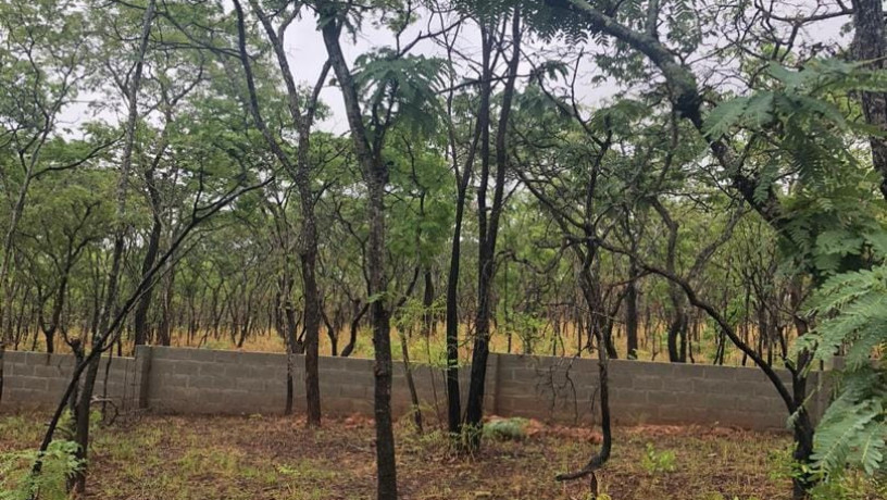 1-acre-land-for-sale-in-new-kasama-big-1