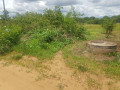 800-sq-mt-of-plot-for-sale-in-falls-view-livingstone-small-1