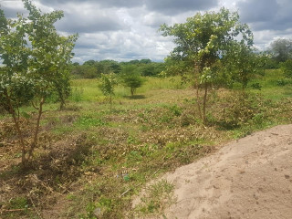 800 sq mt Of Plot For Sale In Falls View Livingstone