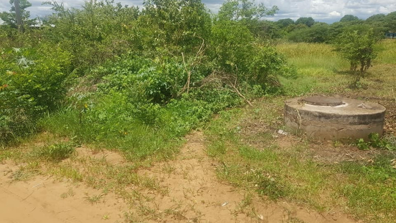 800-sq-mt-of-plot-for-sale-in-falls-view-livingstone-big-1