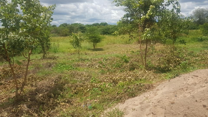 800-sq-mt-of-plot-for-sale-in-falls-view-livingstone-big-0