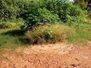 4200 Sq mt of Land for Sale in Highlands Livingstone