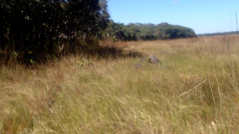 150-hectares-of-land-for-sale-in-chibelwa-luwingu-big-0