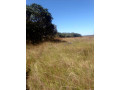 150-hectares-of-land-for-sale-in-chibelwa-luwingu-small-0