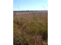 150-hectares-of-land-for-sale-in-chibelwa-luwingu-small-2