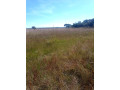 150-hectares-of-land-for-sale-in-chibelwa-luwingu-small-3