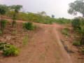 1600-hectares-land-for-sale-in-mumbwa-small-3