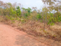 1600-hectares-land-for-sale-in-mumbwa-small-0