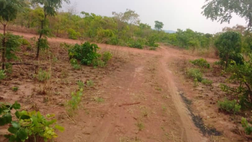 1600-hectares-land-for-sale-in-mumbwa-big-3