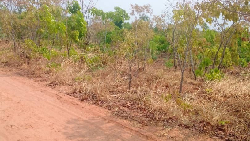 1600-hectares-land-for-sale-in-mumbwa-big-0