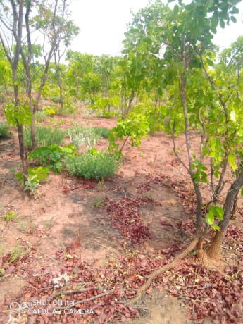 1600-hectares-land-for-sale-in-mumbwa-big-4