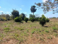 95-acres-for-sale-in-chongwe-small-1