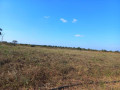 95-acres-for-sale-in-chongwe-small-3