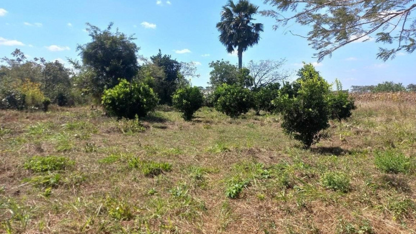 95-acres-for-sale-in-chongwe-big-1