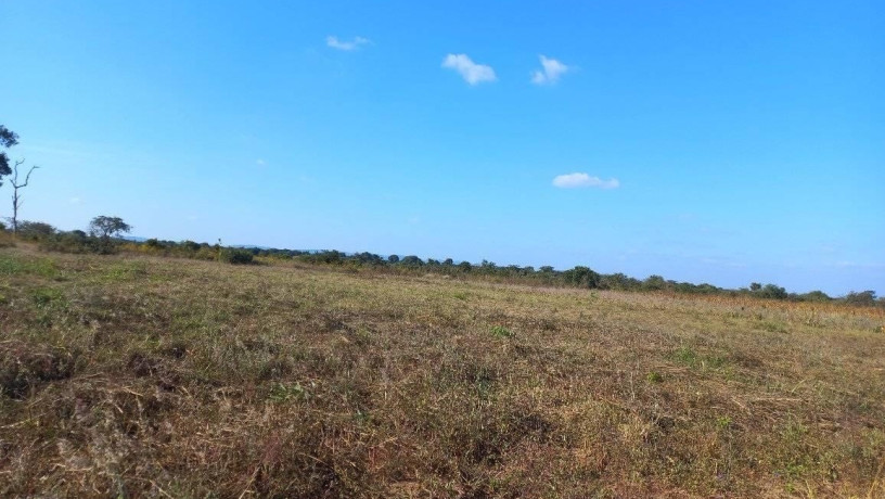 95-acres-for-sale-in-chongwe-big-3