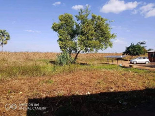 9.5 Hector’s Farm Land For Sale In Chongwe