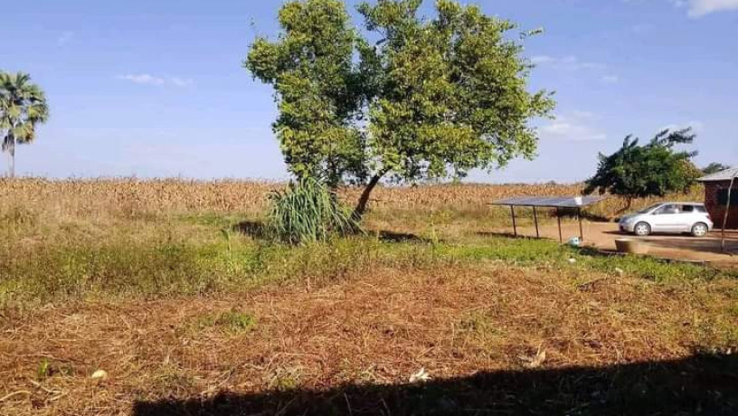 95-hectors-farm-land-for-sale-in-chongwe-big-0