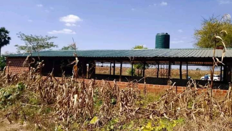 95-hectors-farm-land-for-sale-in-chongwe-big-6