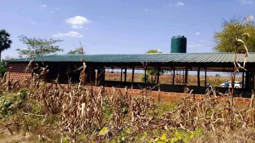 95-hectare-farm-for-sale-in-chongwe-big-6