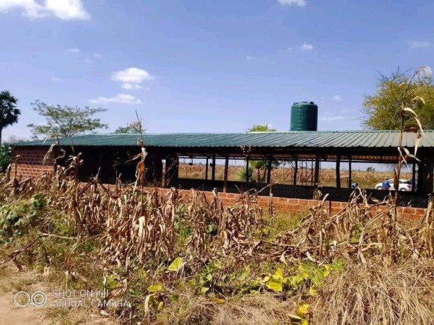 95-hectare-farm-for-sale-in-chongwe-big-6