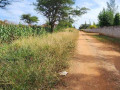 level-parcel-of-land-in-makeni-small-2