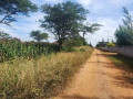 level-parcel-of-land-in-makeni-small-0