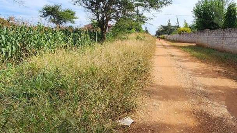 level-parcel-of-land-in-makeni-big-2