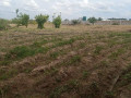 vacant-750sqm-plot-for-sale-near-barn-motel-small-0